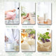 Coconut Vanilla Roller Fragrance Oil 10ml