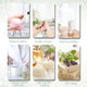 Coconut Vanilla Roller Fragrance Oil 10ml