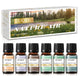 6-Piece Fragrance Oil Gift Set 10ml