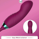 2-in-1 Sucking and Licking Intimate Vibrator