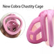 3D Chastity Cage with Invisible Lock