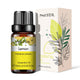 Natural Plant Essential Oil 10ml for Diffuser