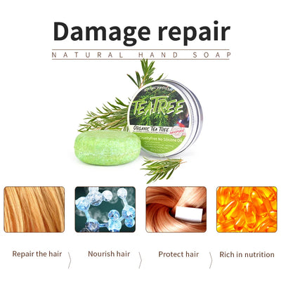 Tea Tree Plant-Based Anti-Dandruff Shampoo Bar