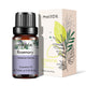 Natural Plant Essential Oil 10ml for Diffuser