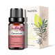 Natural Plant Essential Oil 10ml for Diffuser