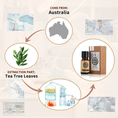 Pure Tea Tree Essential Oil 100% Natural