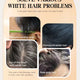 Root Touch-Up Hair Dye Pen Gray Cover