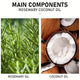 Rosemary and Coconut Hair Growth Oil Anti-Loss