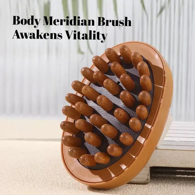 Air Cushion Anti-Cellulite Spa Scalp Massage Brush
