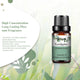 Natural Plant Essential Oil 10ml for Diffuser