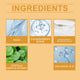 Centella Skin Care Set with Serum Face Wash and Cleansing Oil