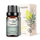 Natural Plant Essential Oil 10ml for Diffuser