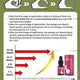 Male Intimate Performance Massage Oil