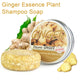 Ginger Polygonum Hair Shampoo Soap Bar