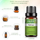 Natural Plant Essential Oil 10ml for Diffuser