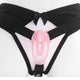 Chastity Panties Sissy Cage Belt Harness