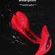 App-Controlled Wearable Vibrator Egg G-Spot