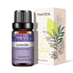 Natural Plant Essential Oil 10ml for Diffuser