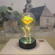 LED Eternal Rose Glass Flower Gift for Women