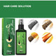 Ginger Hair Care Serum Spray 100ml