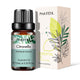 Natural Plant Essential Oil 10ml for Diffuser