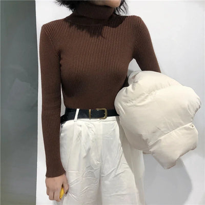Women's Cashmere Knit Turtleneck Pullover Sweater