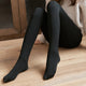 Women's Translucent Fleece Thermal Velvet Stockings