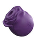 Rose Suction Vibrator for Women 10 Modes