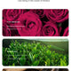 Rose Essence Oil Capsules Leave-In Anti-Frizz Hair Serum