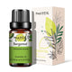 Natural Plant Essential Oil 10ml for Diffuser