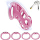 3D Chastity Cage with Invisible Lock