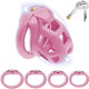 3D Chastity Cage with Invisible Lock