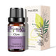 Natural Plant Essential Oil 10ml for Diffuser