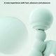 Handheld Anal Plug and Bead Massager Set