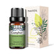 Natural Plant Essential Oil 10ml for Diffuser