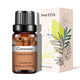Natural Plant Essential Oil 10ml for Diffuser