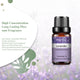 Natural Plant Essential Oil 10ml for Diffuser