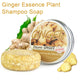 Ginger Polygonum Hair Shampoo Soap Bar