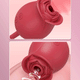 2-in-1 Sucking and Licking Intimate Vibrator