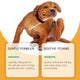 Dog Ear Cleaner Drops Anti-Fungal Earwax Remover 60ml