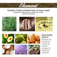 Rosemary Natural Hair Growth Oil Anti-Hair Loss Serum