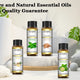 Natural Plant Essential Oil with Dropper 10ml
