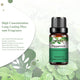 Natural Plant Essential Oil 10ml for Diffuser