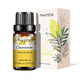 Natural Plant Essential Oil 10ml for Diffuser