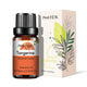 Natural Plant Essential Oil 10ml for Diffuser