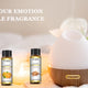 Natural Plant Essential Oil with Dropper 10ml