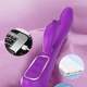 2-in-1 Rabbit Clitoral and Vaginal Vibrator