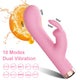 2-in-1 Rabbit Clitoral and Vaginal Vibrator