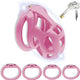 3D Chastity Cage with Invisible Lock