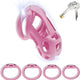 3D Chastity Cage with Invisible Lock